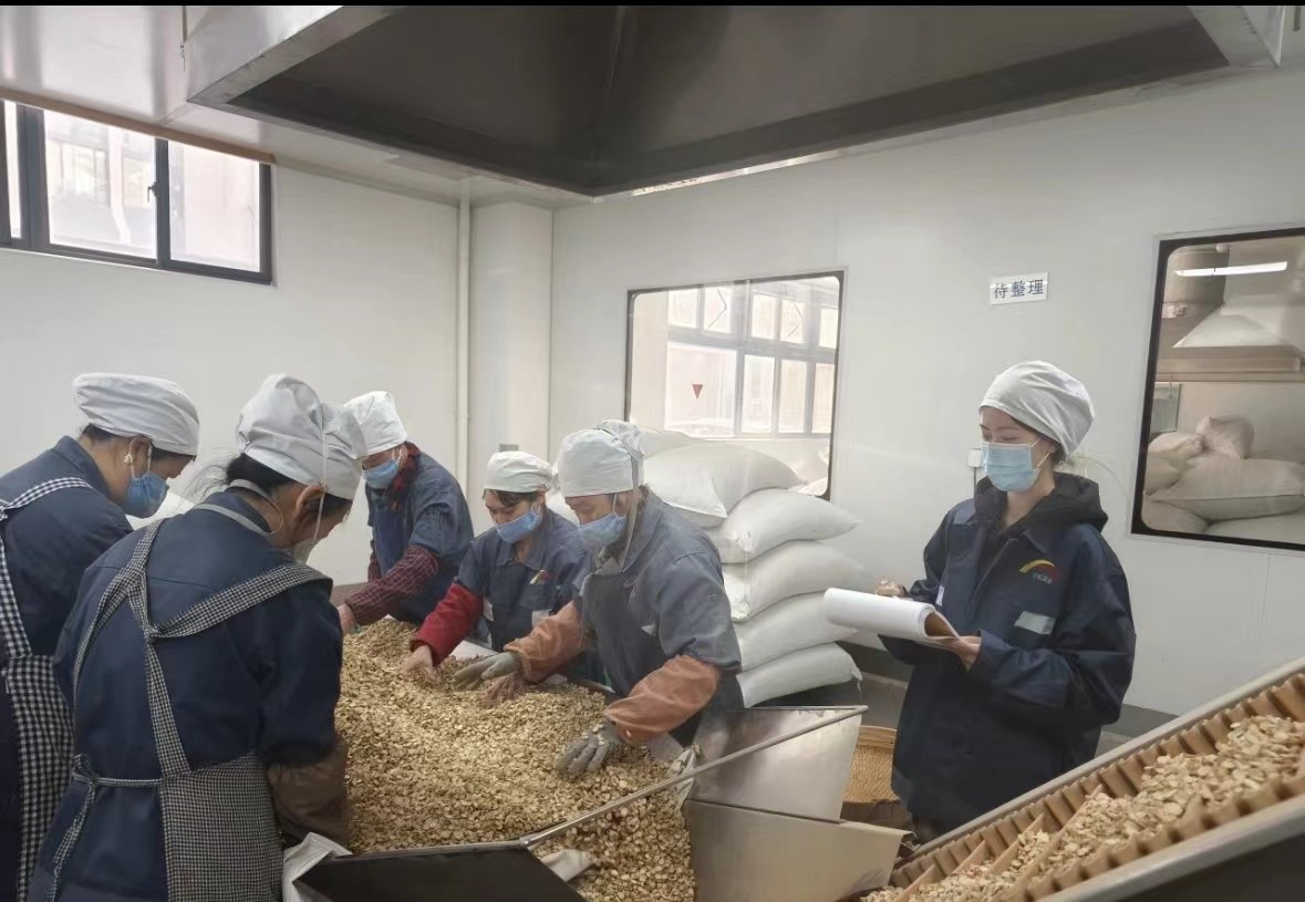 Qingdao Biohoer Biotech Co., Ltd. er officielt startet byggeri