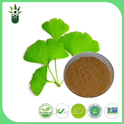 Hvilke symptomer kan ginkgo biloba bladekstrakt bruges til at lindre?